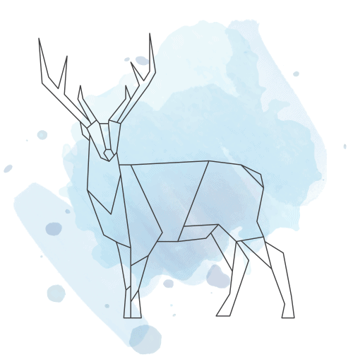 BlueFawn_1